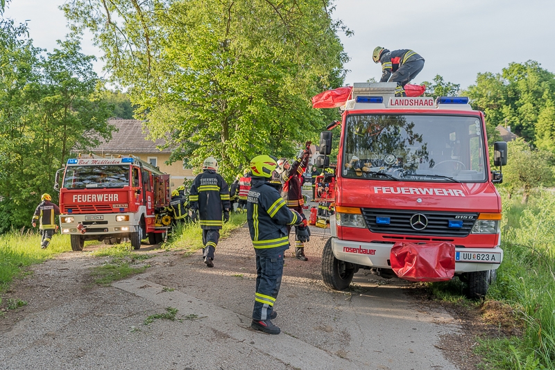 2019_05_14_TE-Bergheim-12
